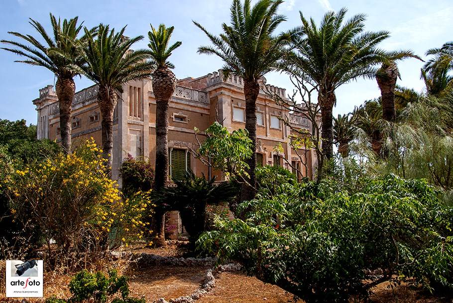 04-08-2020-17-42_cudia -cremada 04-08-2020-17-4224-05-2015-09-4004-08-2020-17-42_038