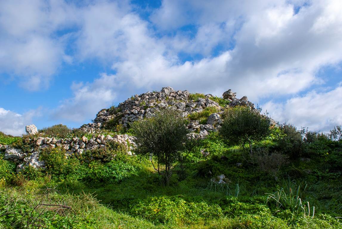 04-08-2020 17-50_ TORRELLAFUDA _034