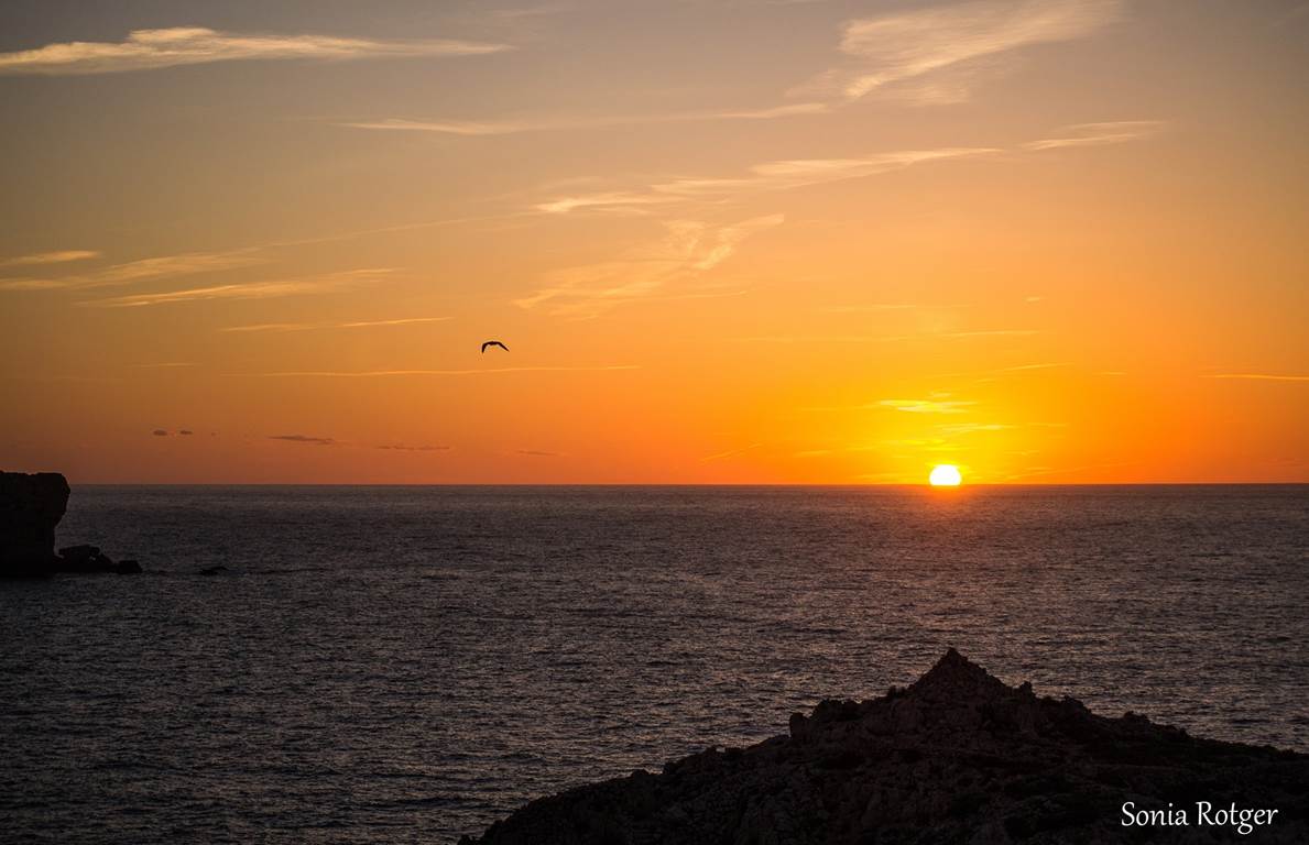 28042014-dsc _0777aa