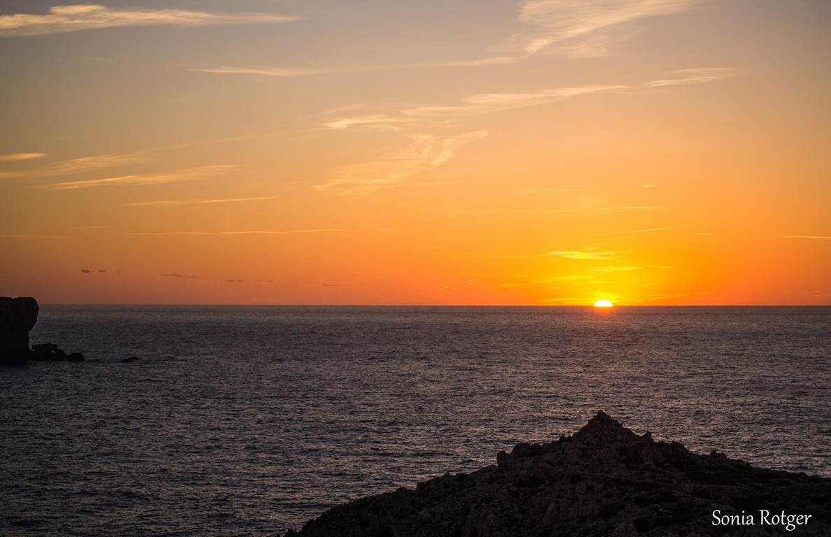 28042014-dsc _0784aa