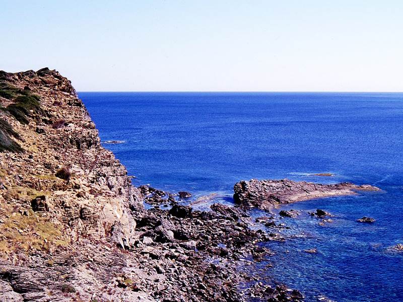 bella -donya