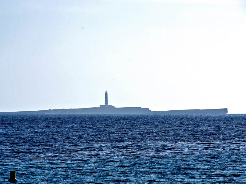 binibequernou -23
