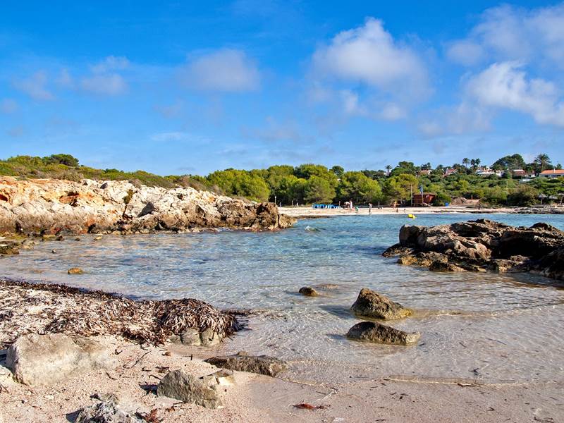 binibequernou -6