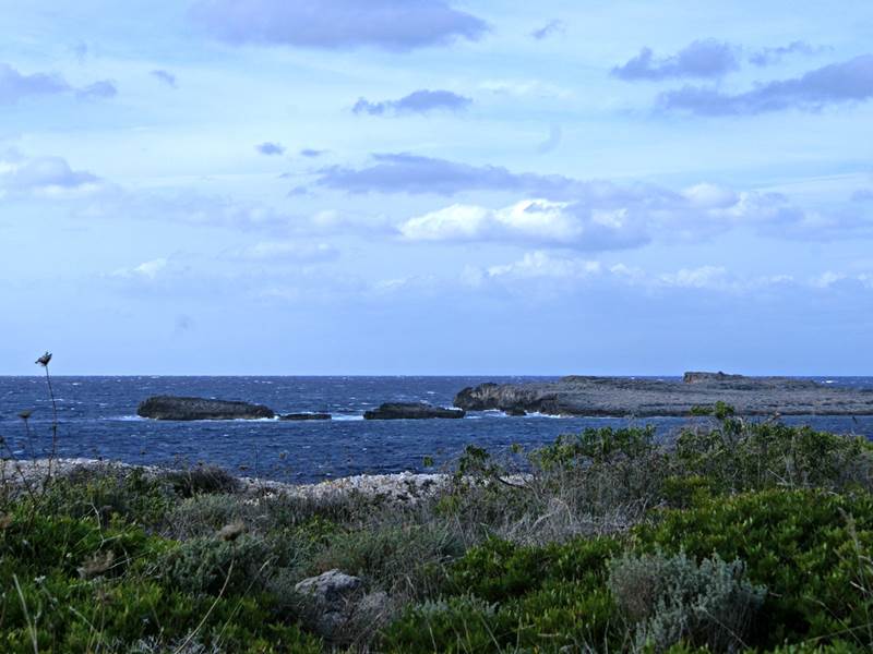 BINIBEQUERNOU (78)