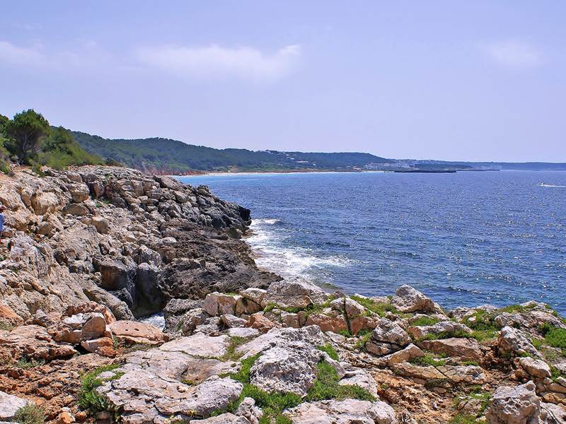 binigaus -escorxada -53