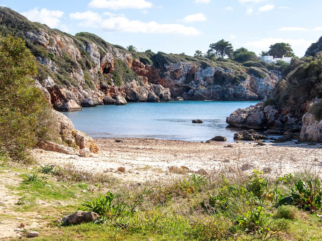 BINIPARRATXCALA (5)
