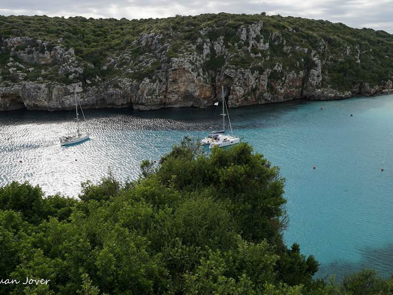 Cala en Porter 2