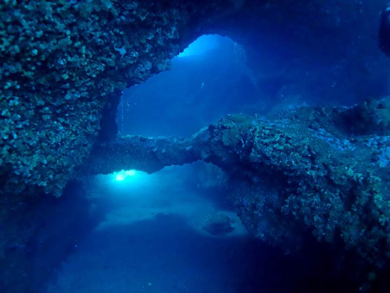coral -galleries -reserva -marina -isla -del -aire -salgar -diving -menorca -8