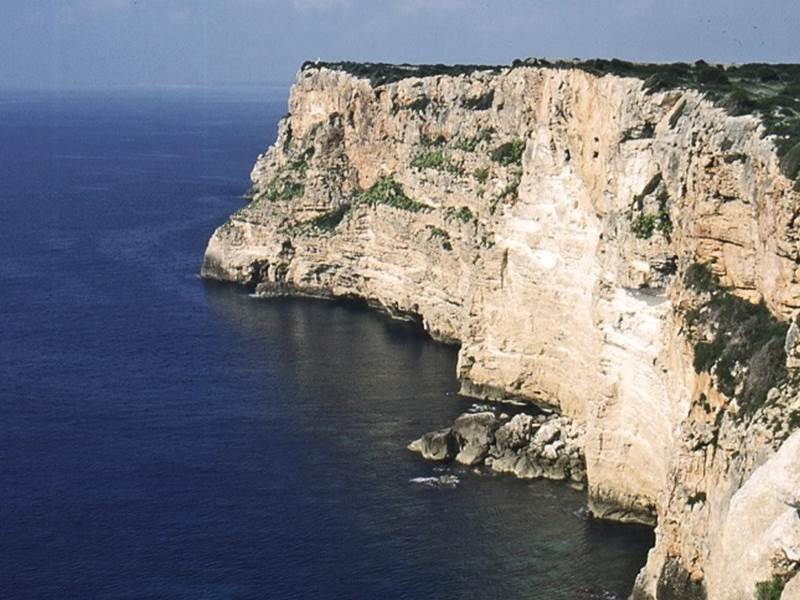 costa -tnova