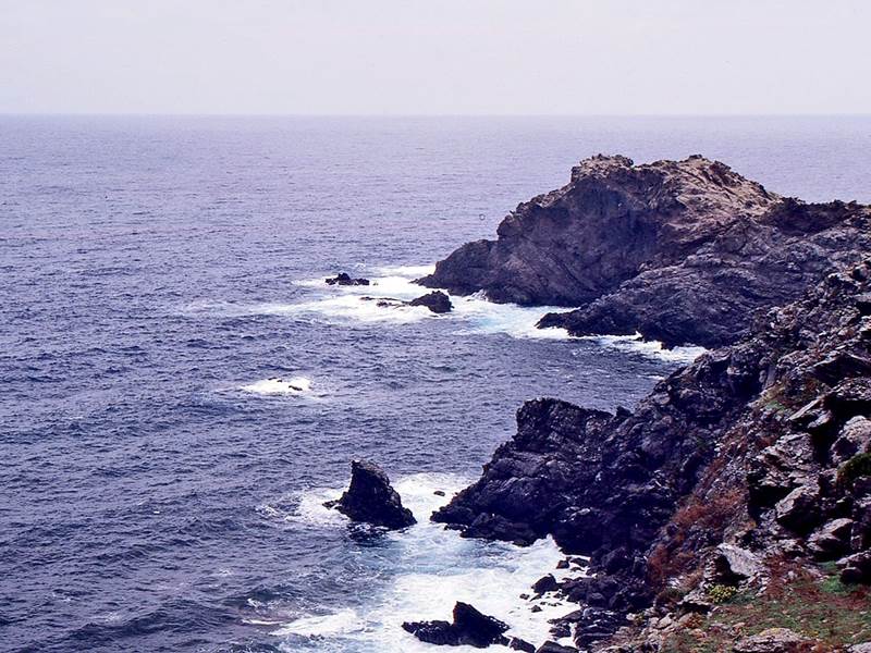COSTADIAPOS (109)