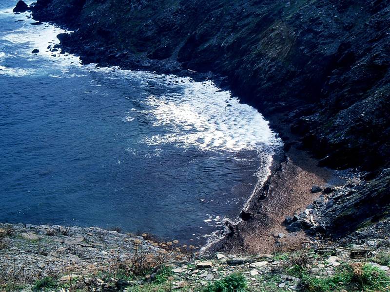 COSTADIAPOS (113)