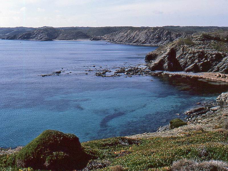 COSTADIAPOS (226)