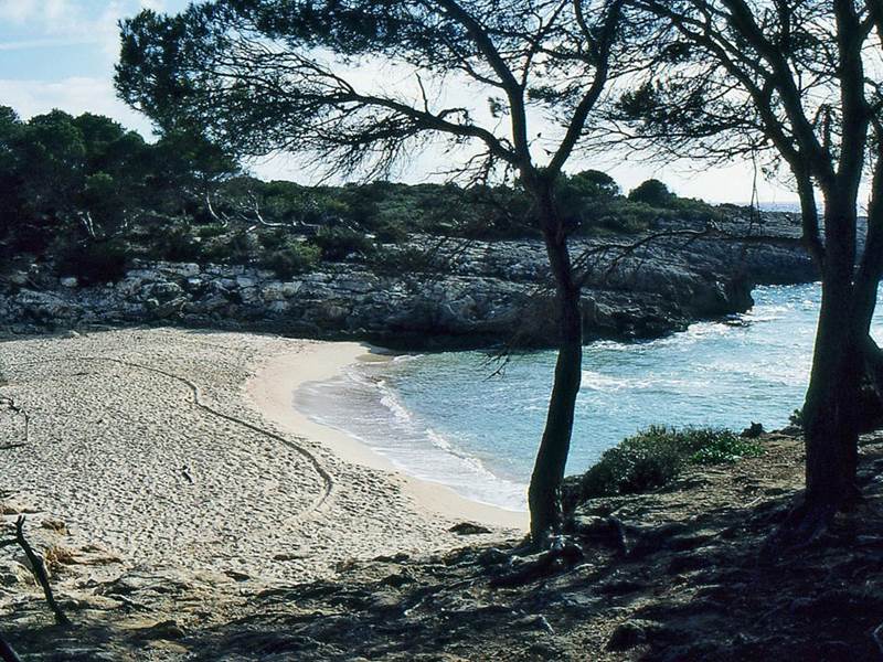 COSTADIAPOS (267)