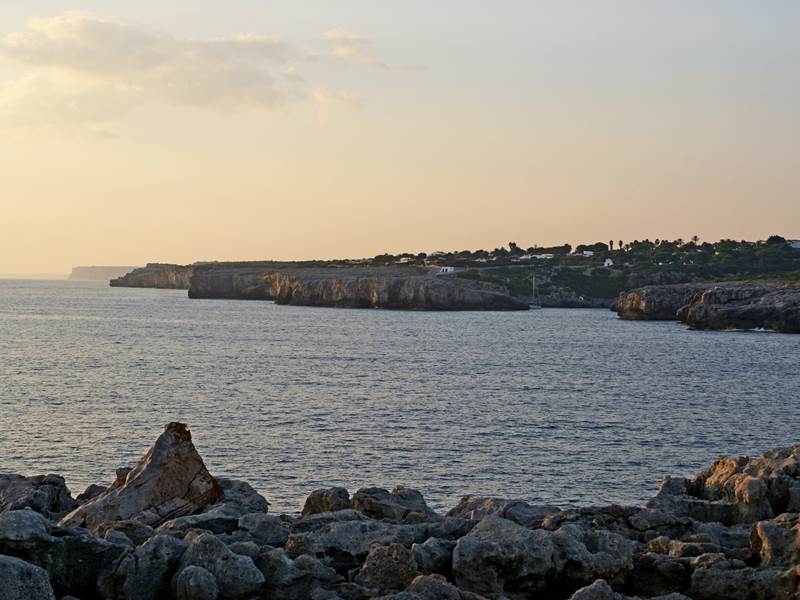 dsc 00037