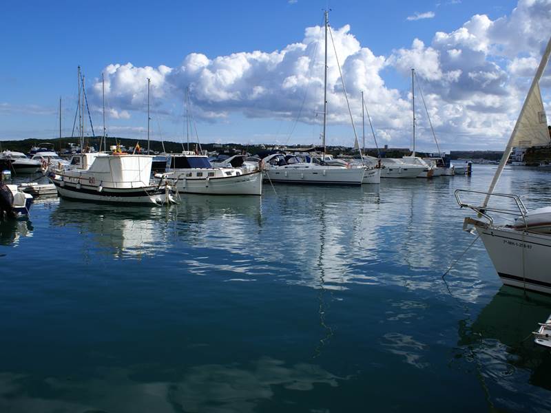 DSC 00043a