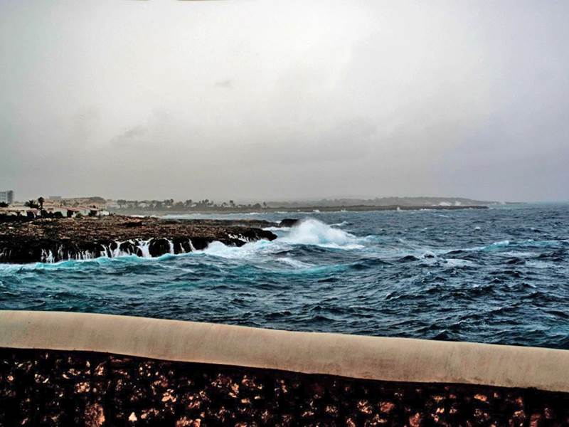 dsc 00118b