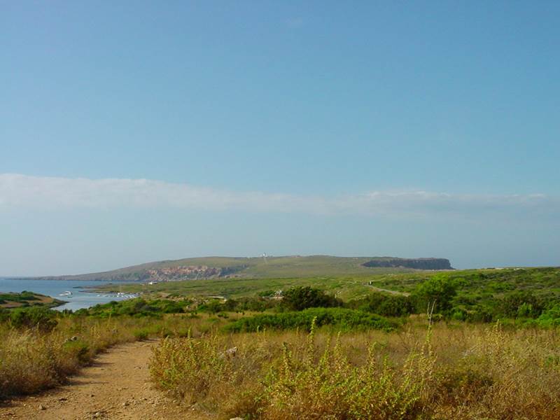 DSC 00126