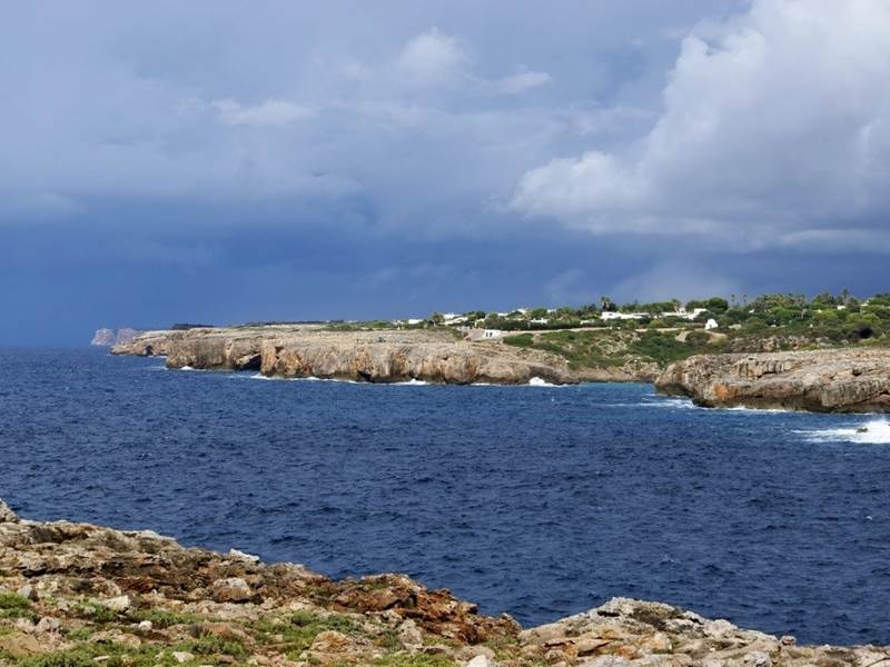 dsc 00147a