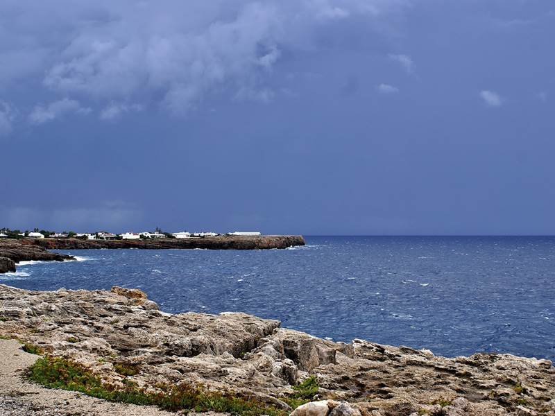 dsc 00155-2012x 1340