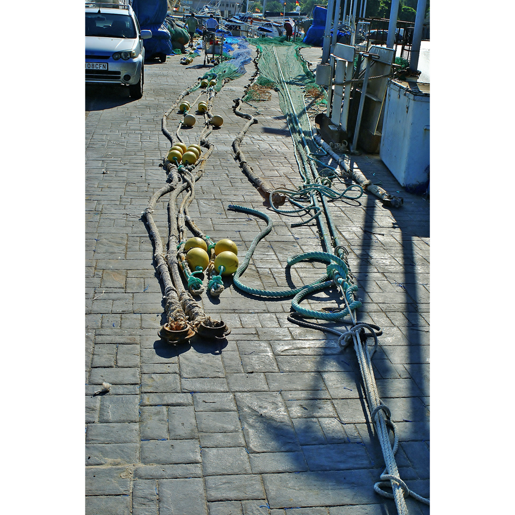 dsc 00159-1352x 2020