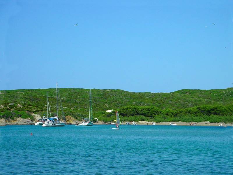 dsc 00200