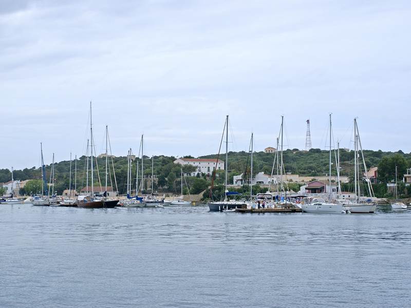 DSC 00232