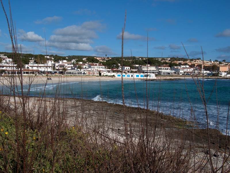 dsc 00271aa