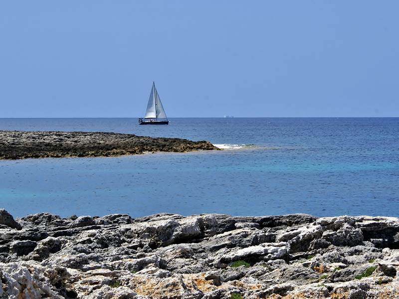 dsc 00483-2012x 1327