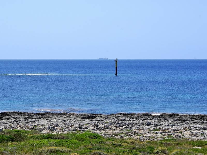 dsc 00492-2012x 1333