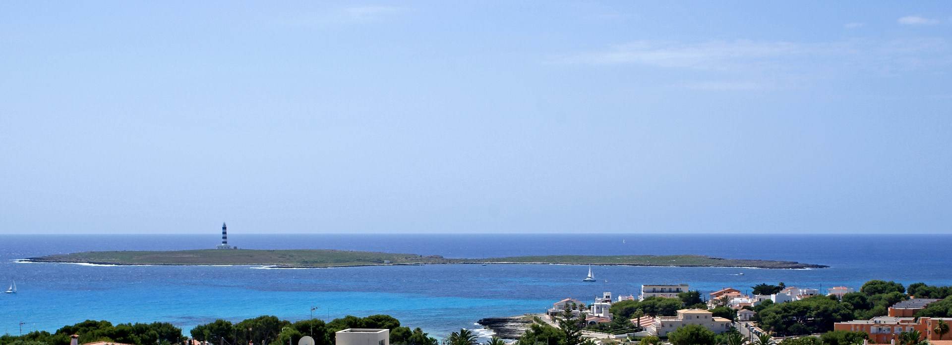 dsc 00539-1