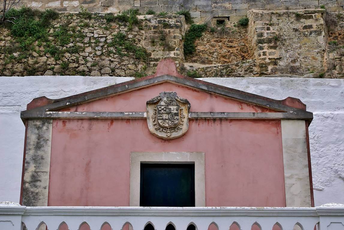 dsc 00541-2020x 1352