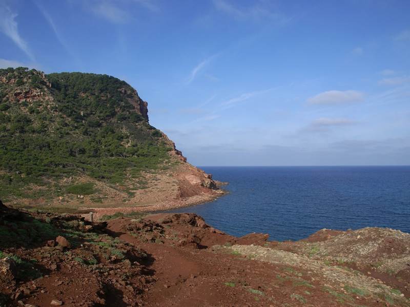 dsc 00673aa