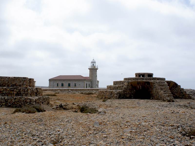 dsc 00681