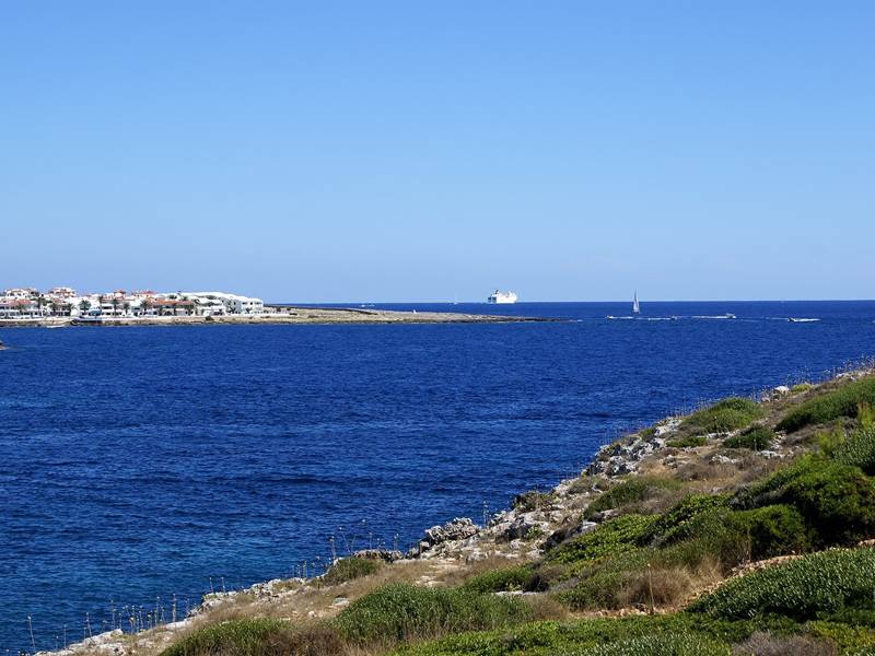dsc 00720b