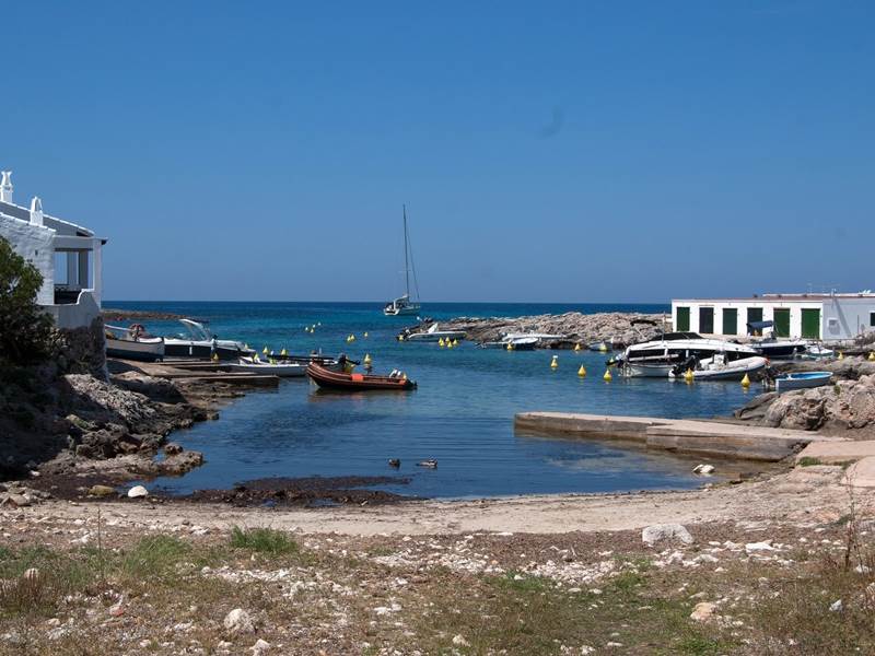 dsc 00820aa