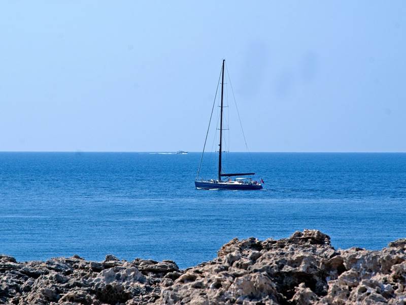 dsc 01119aa