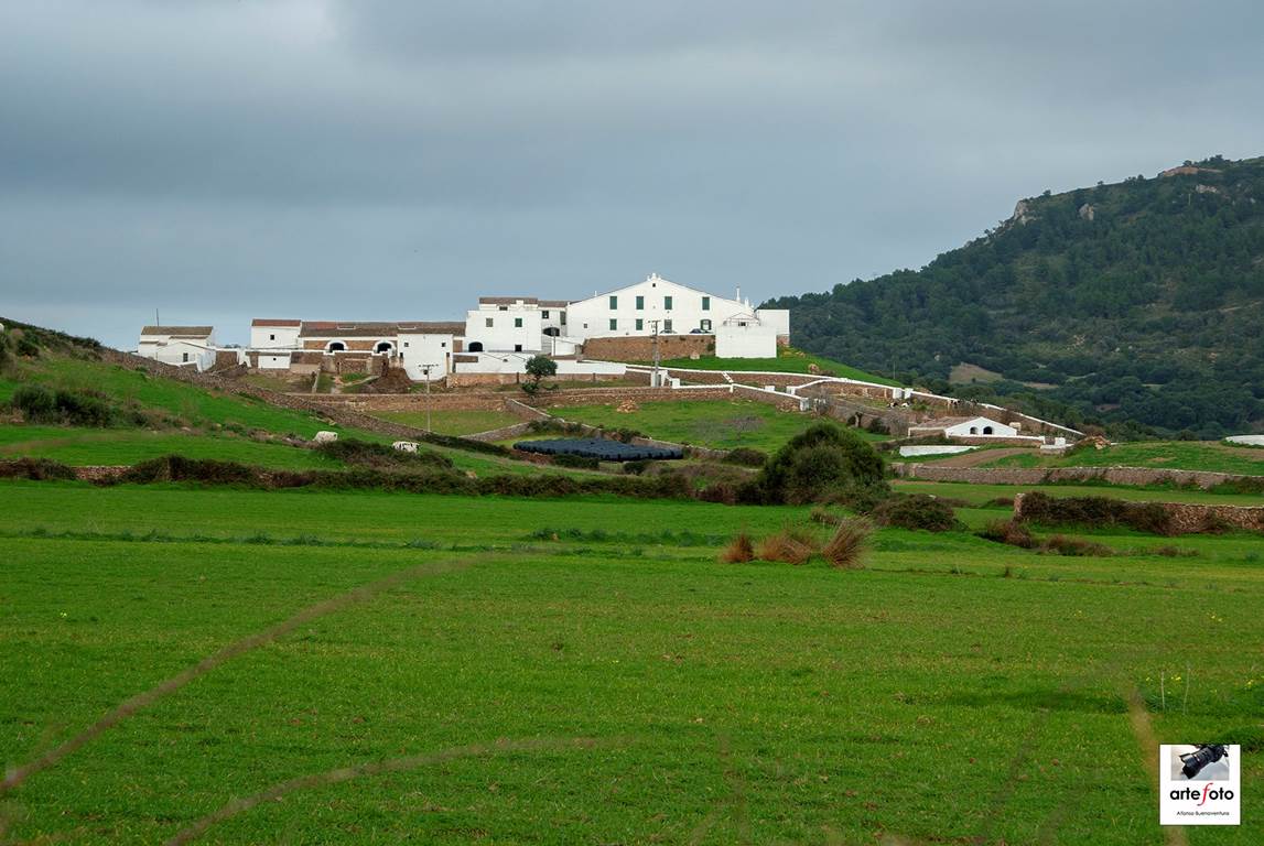 dsc 01392bb