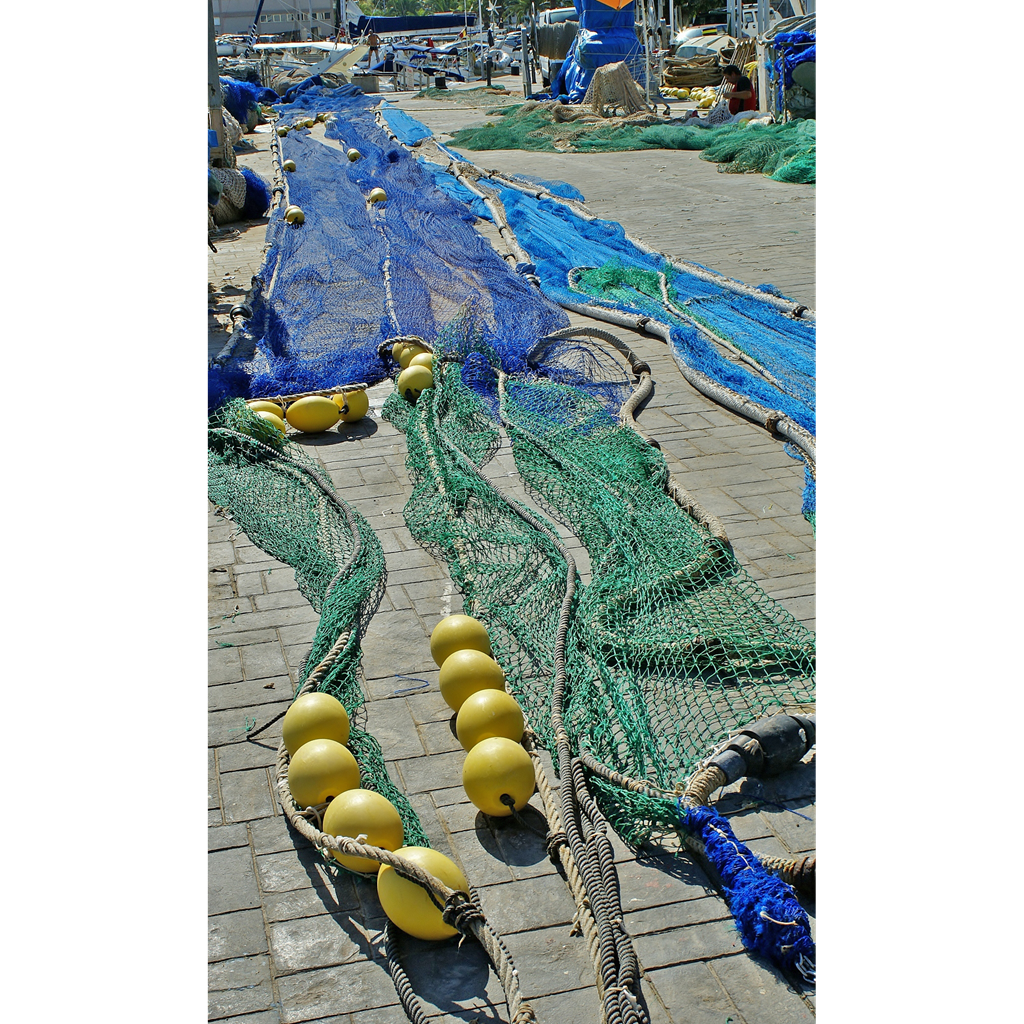 dsc 01541-1199x 2020