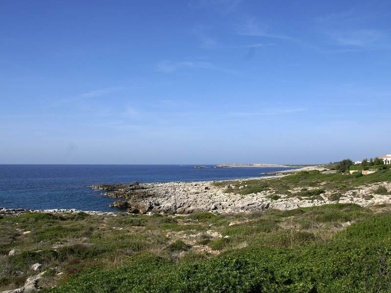 dsc 02014aa