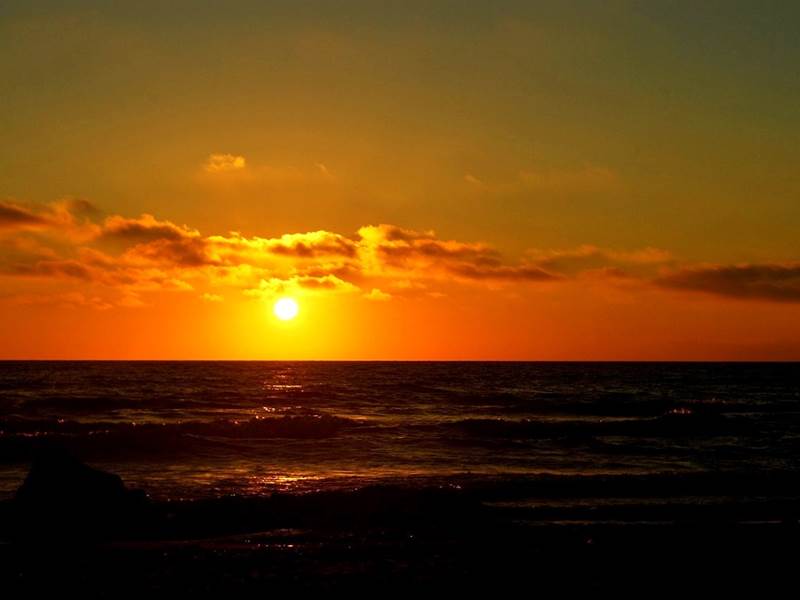 dsc _0002b -1280x 855
