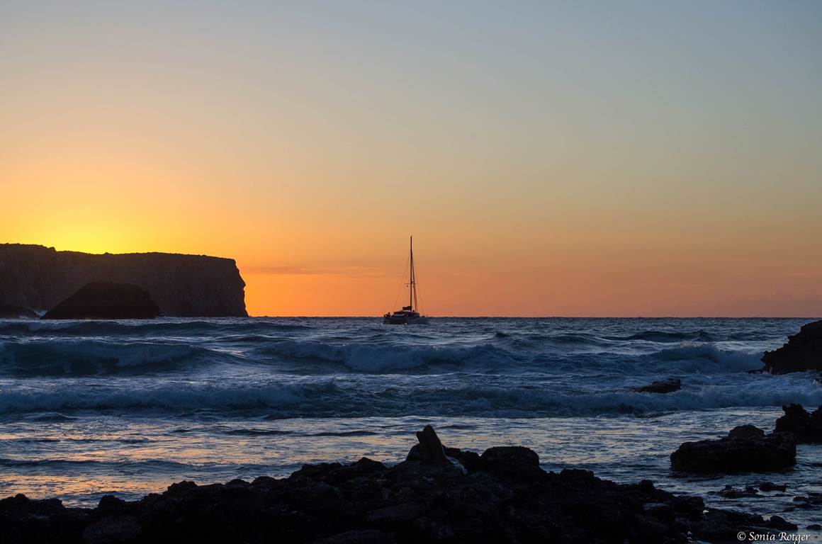 dsc _0104a