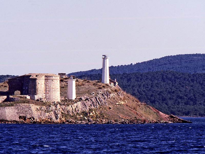 illa -sargantana 2