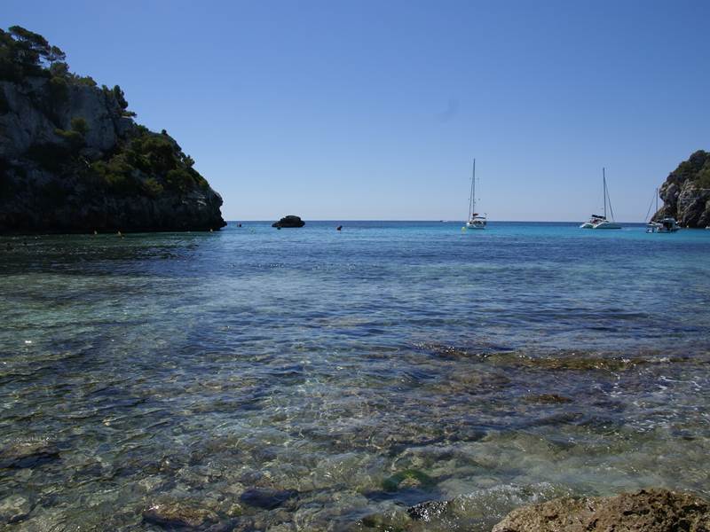 MACARELLACALA (14)