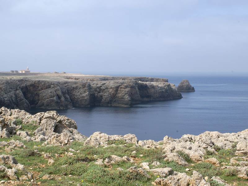 MORELLNATI (54)