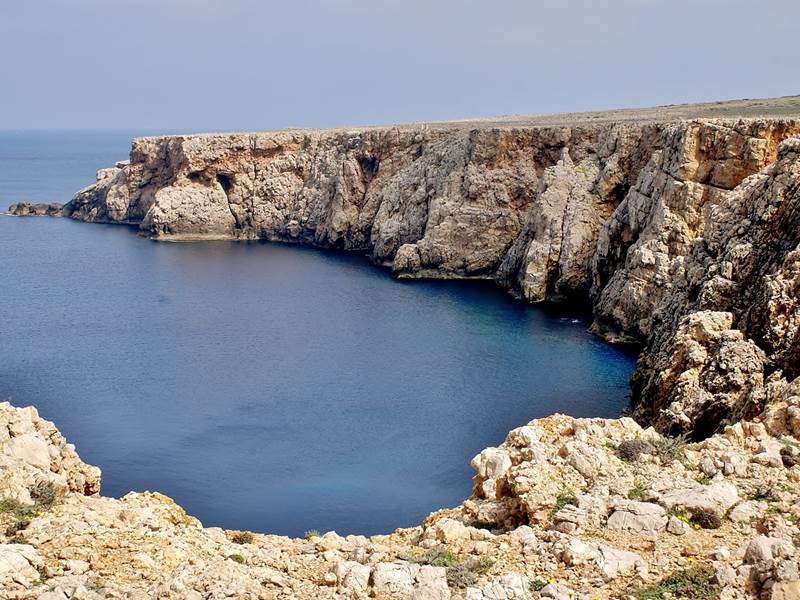 MORELLNATI (58)