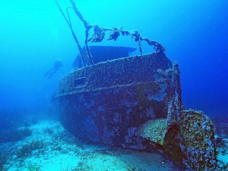 ocean -diver