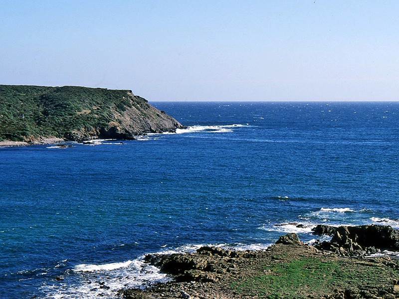 pas -colom 1