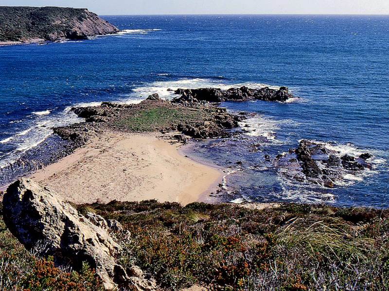 platja -p -llorenc 3a 71