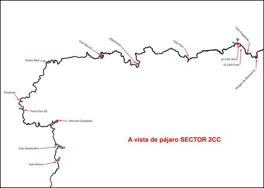 sector -2cc -12
