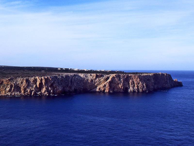w -de -corniola